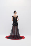 Lace And Chiffon Dress