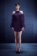 Mini Dress with Feathered Sleeve