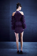 Mini Dress with Feathered Sleeve