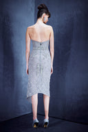 Embroided Lace Dress