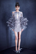 Mini Embroided Dress